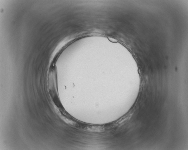 X0000086050102200704202046