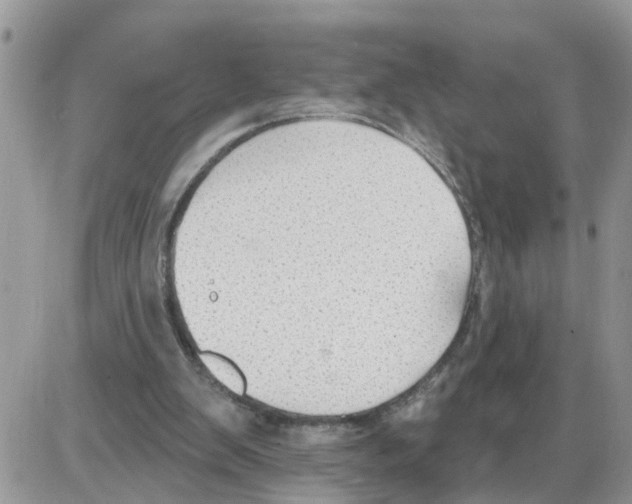 X0000086050103200704202046