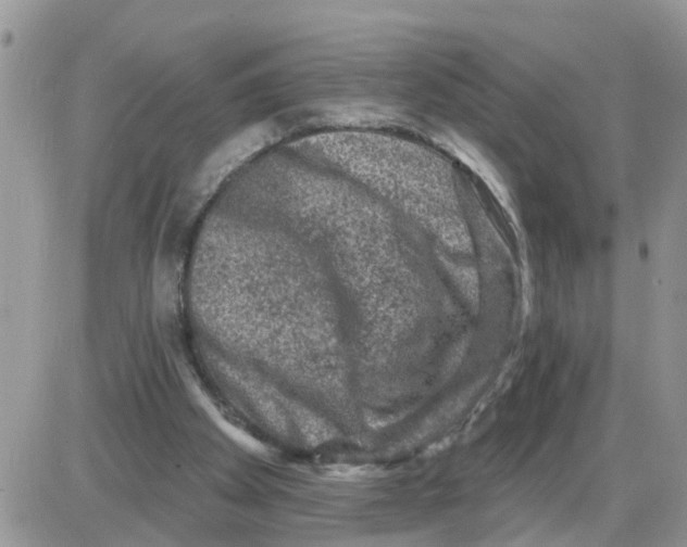 X0000086050105200704202046