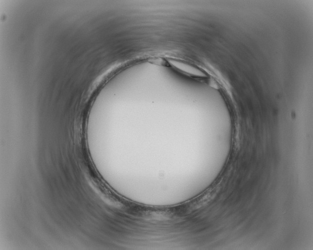 X0000086050107200704202046