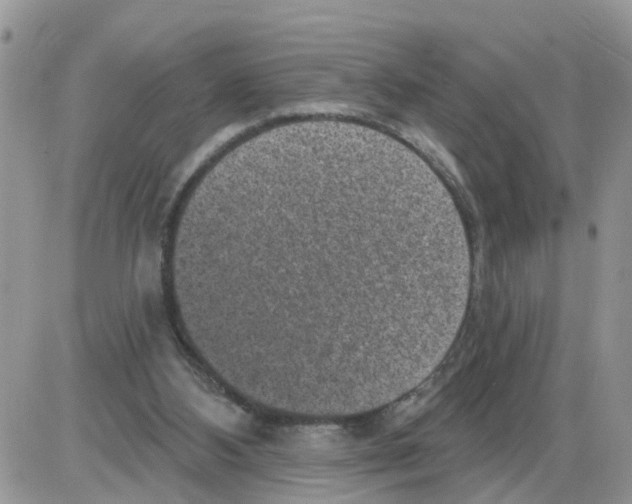 X0000086050108200704202046