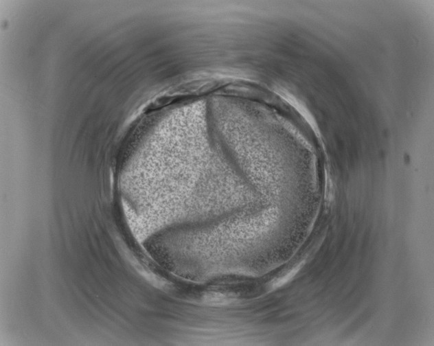 X0000086050109200704202046