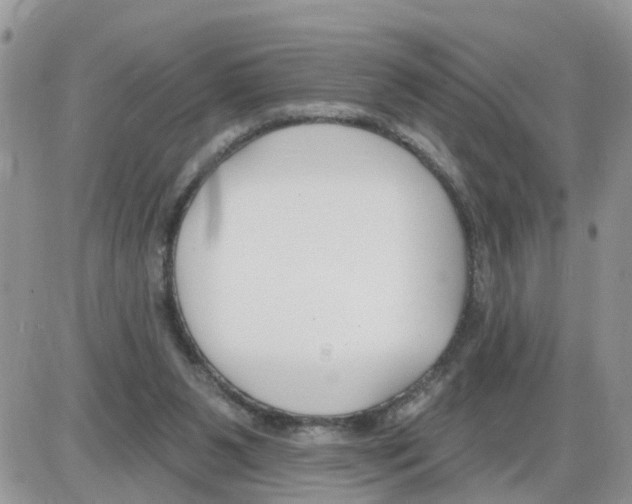 X0000086050111200704202046