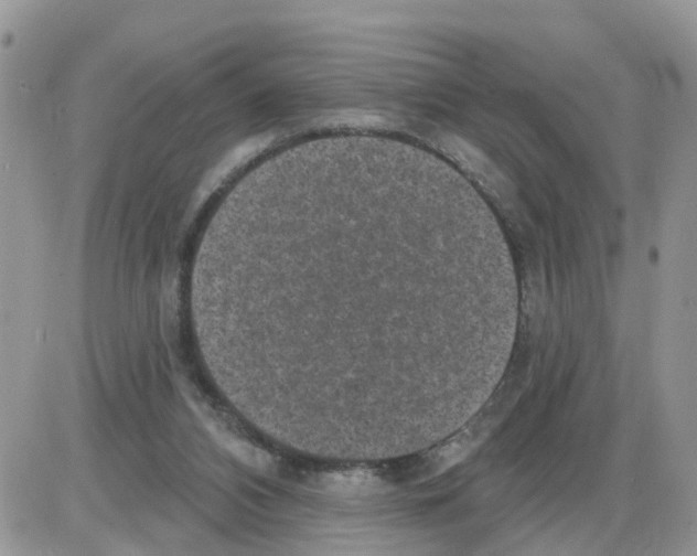 X0000086050112200704202046