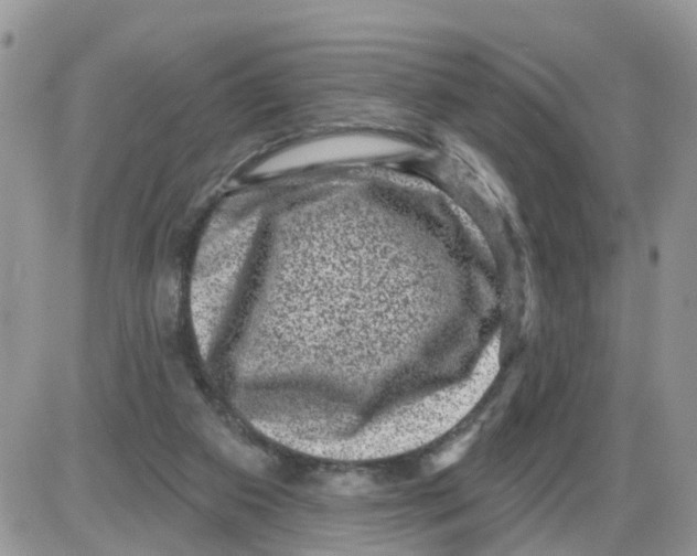 X0000086050113200704202046