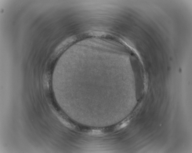 X0000086050114200704202046