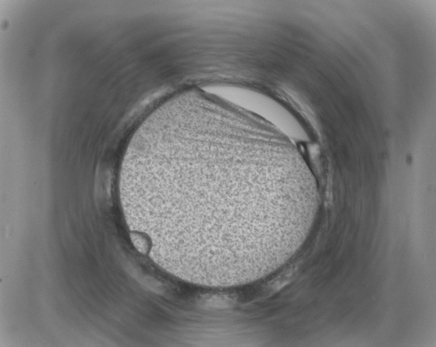 X0000086050115200704202046