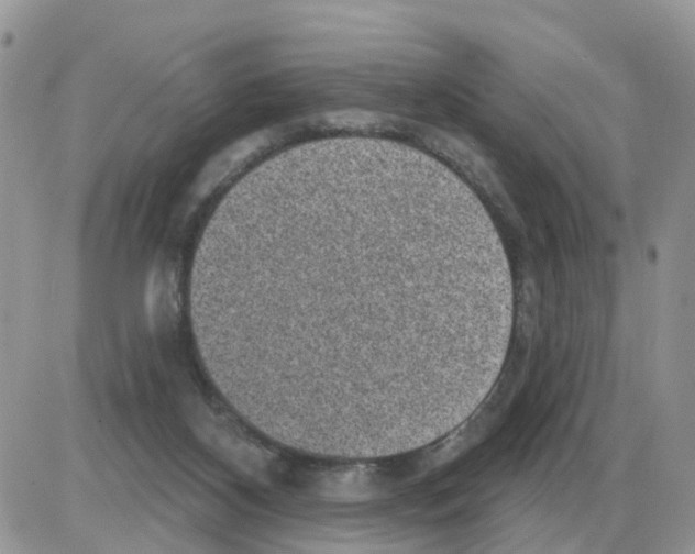 X0000086050116200704202046