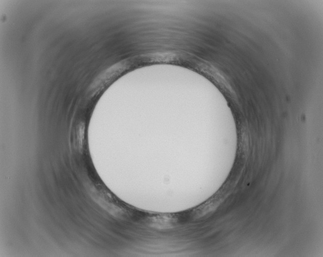 X0000086050118200704202046