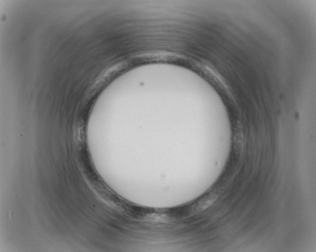 X0000086050119200704202045