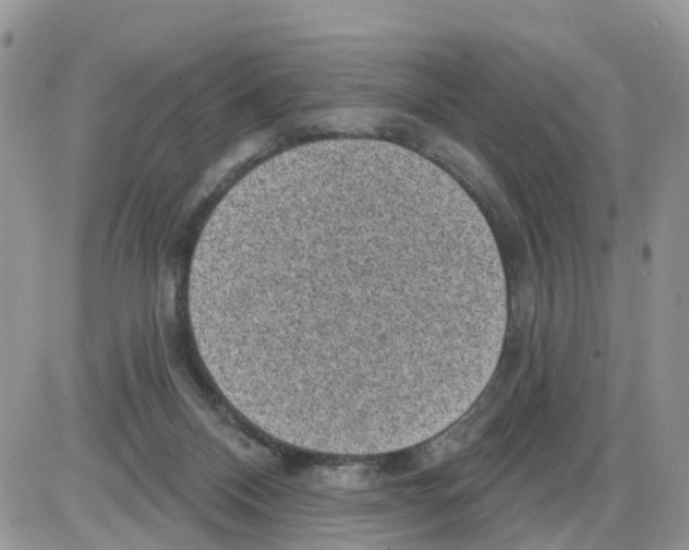 X0000086050120200704202045