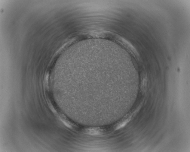 X0000086050121200704202045