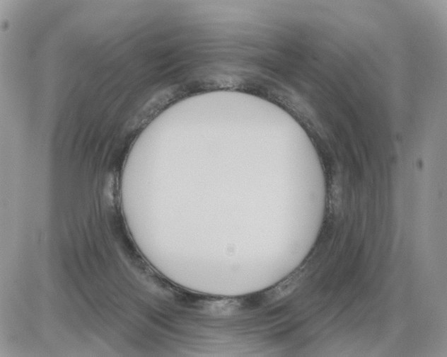 X0000086050122200704202045