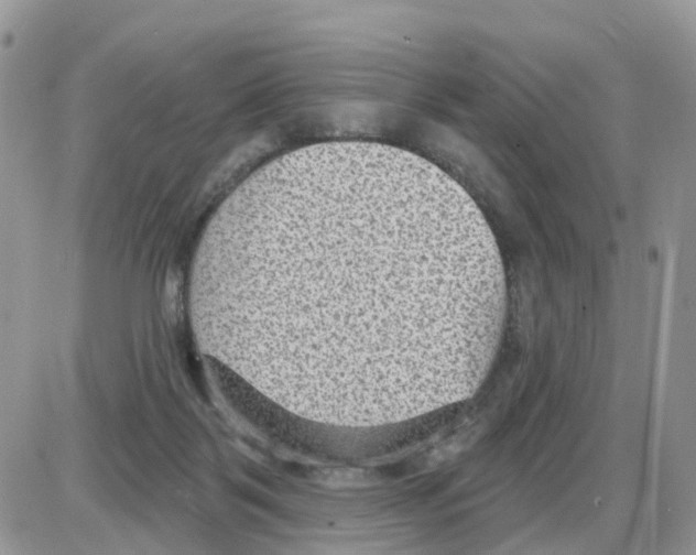 X0000086050123200704202045