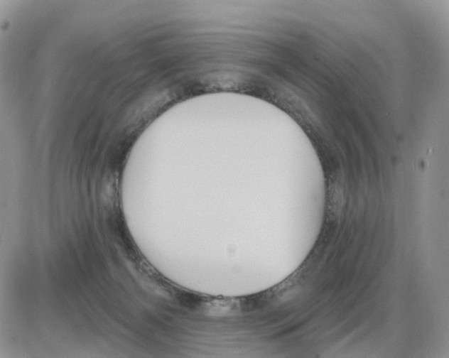 X0000086050126200704202045