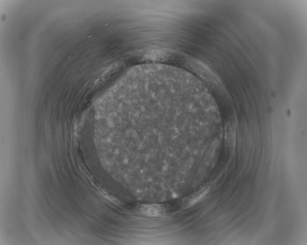 X0000086050127200704202045