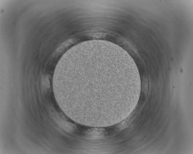 X0000086050128200704202045