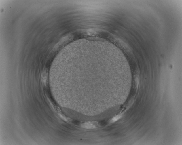 X0000086050129200704202045