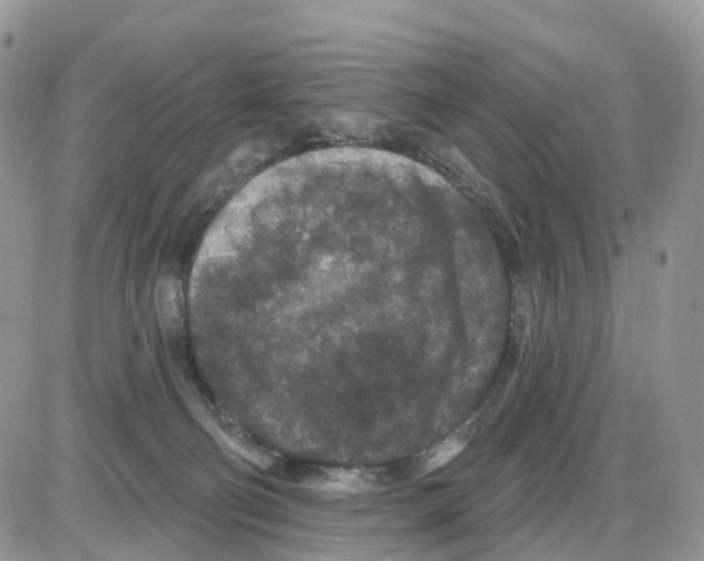 X0000086050130200704202045