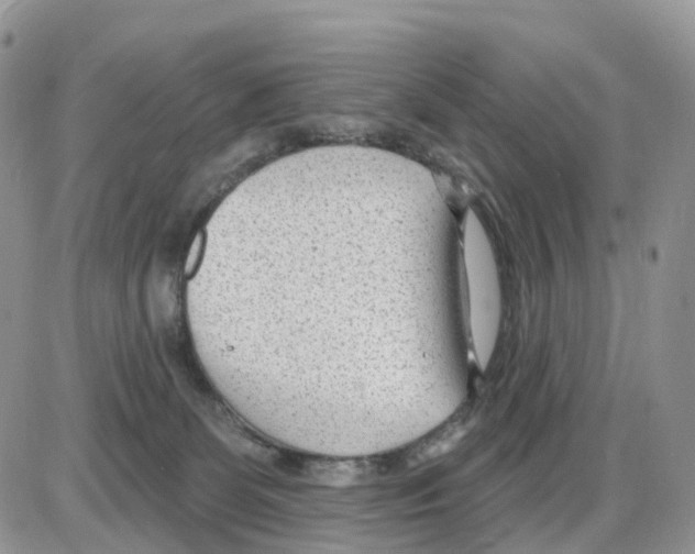 X0000086050131200704202045