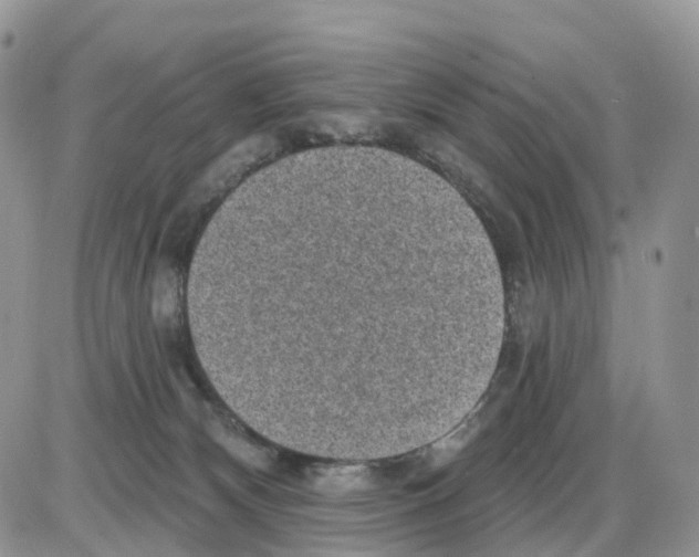 X0000086050132200704202045