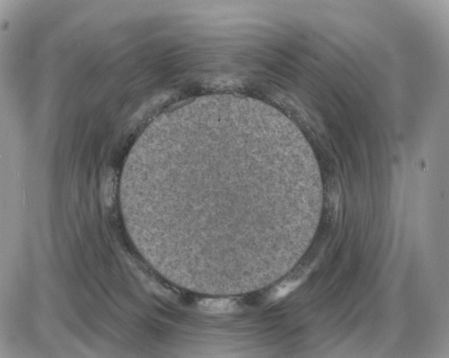 X0000086050133200704202045