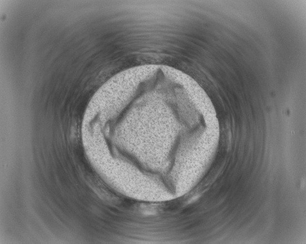 X0000086050134200704202045