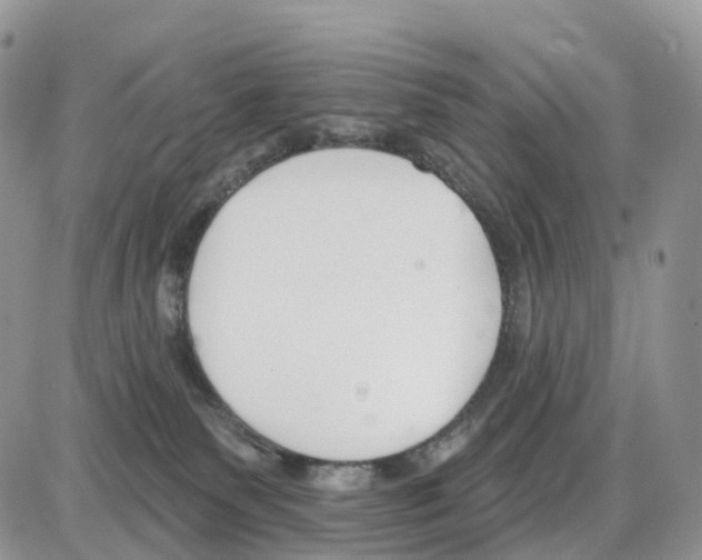 X0000086050135200704202045