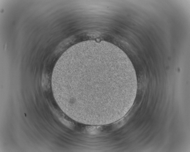 X0000086050136200704202045