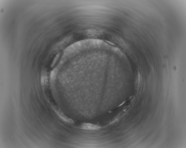 X0000086050137200704202045