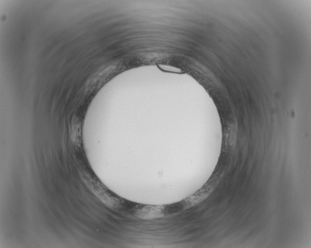 X0000086050138200704202045