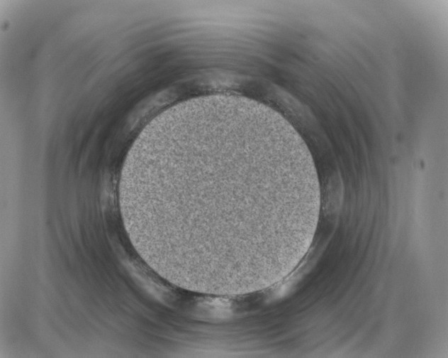 X0000086050140200704202045