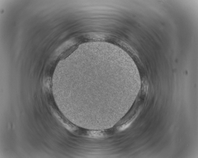 X0000086050141200704202045