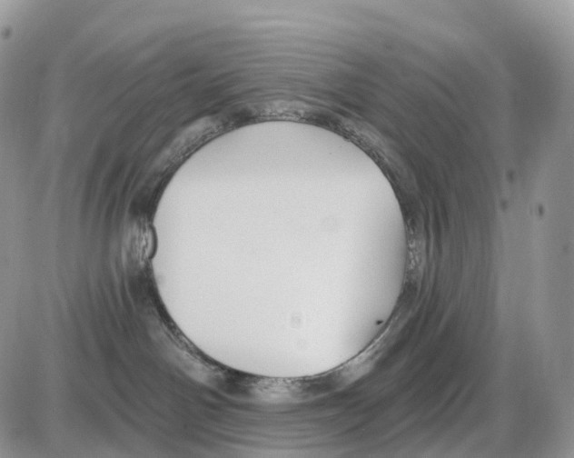 X0000086050142200704202045