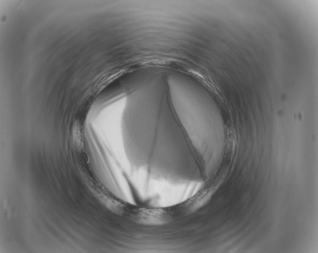 X0000086050143200704202045