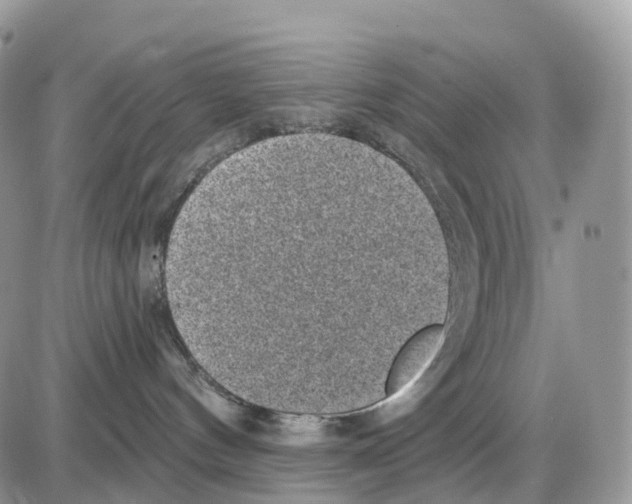 X0000086050144200704202045