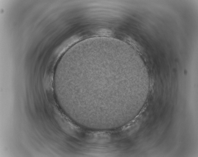 X0000086050146200704202044