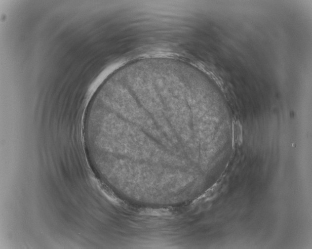 X0000086050147200704202044