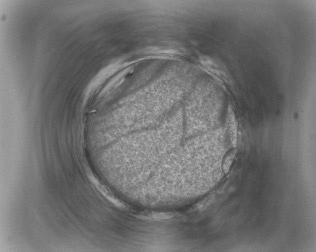 X0000086050149200704202044