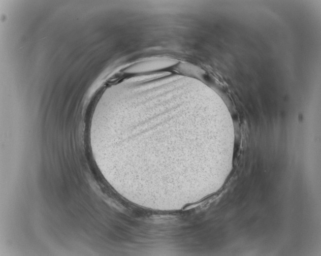 X0000086050150200704202044