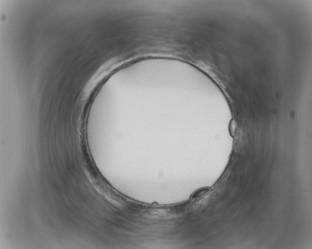 X0000086050151200704202044