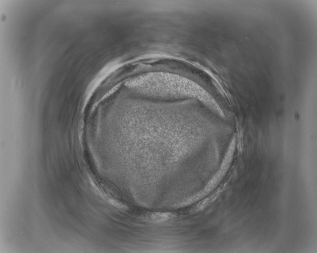 X0000086050152200704202044