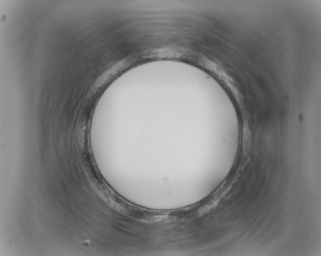 X0000086050153200704202044