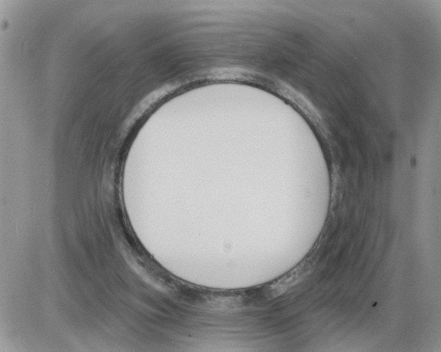 X0000086050155200704202044