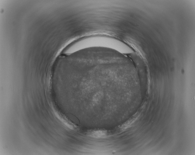 X0000086050156200704202044