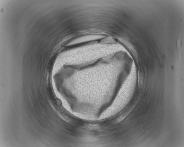 X0000086050157200704202045