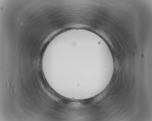 X0000086050159200704202045