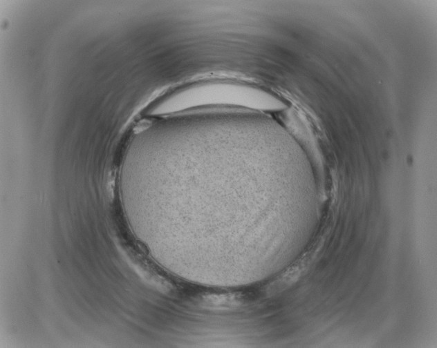 X0000086050160200704202045