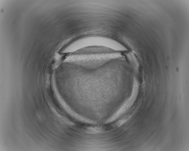 X0000086050164200704202045