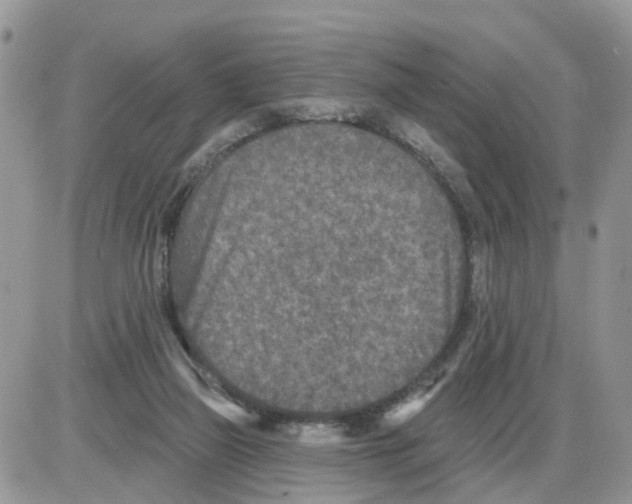 X0000086050165200704202045